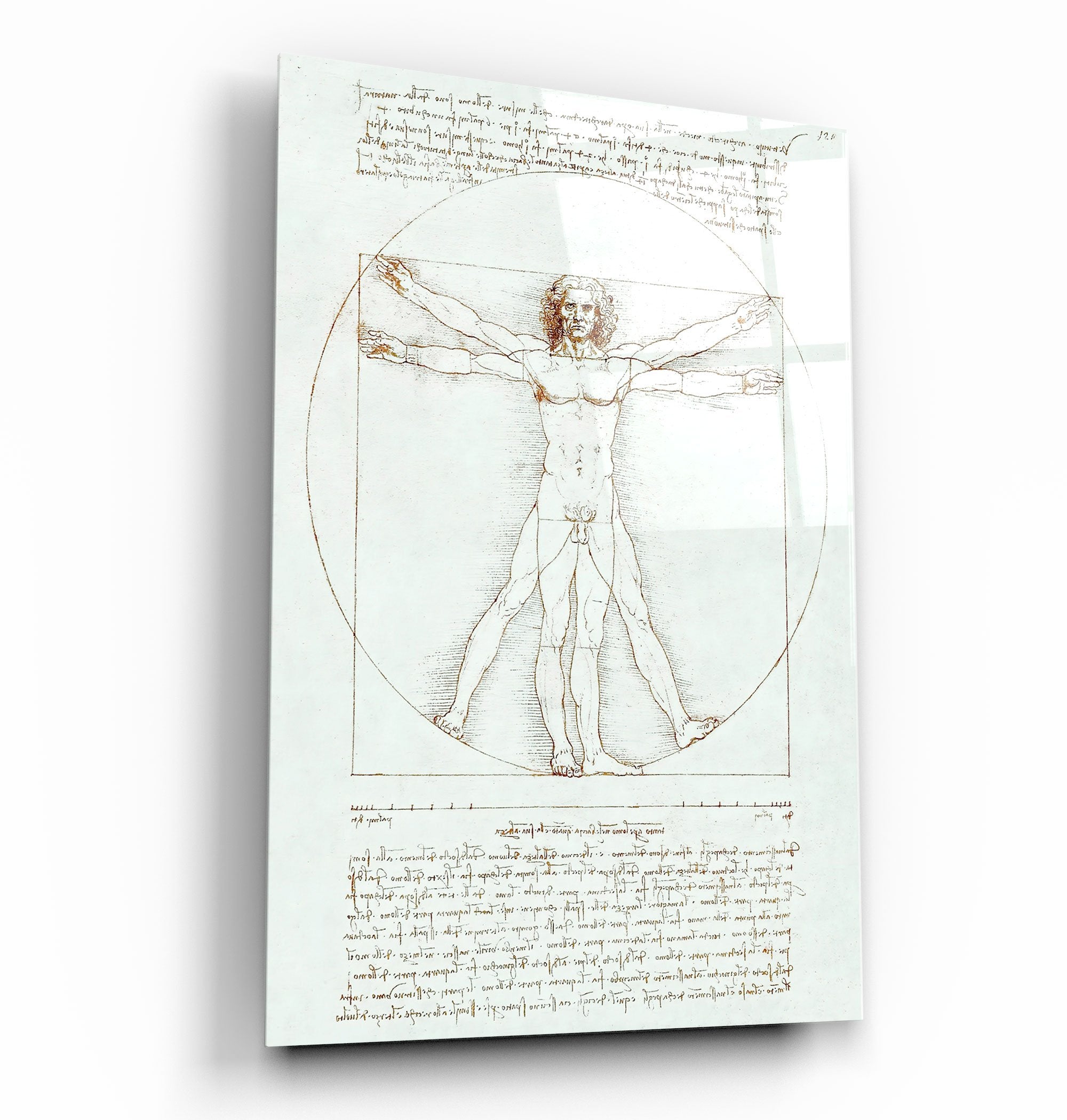 ・"Leonardo da Vinci's The Vitruvian Man 1498"・Glass Wall Art