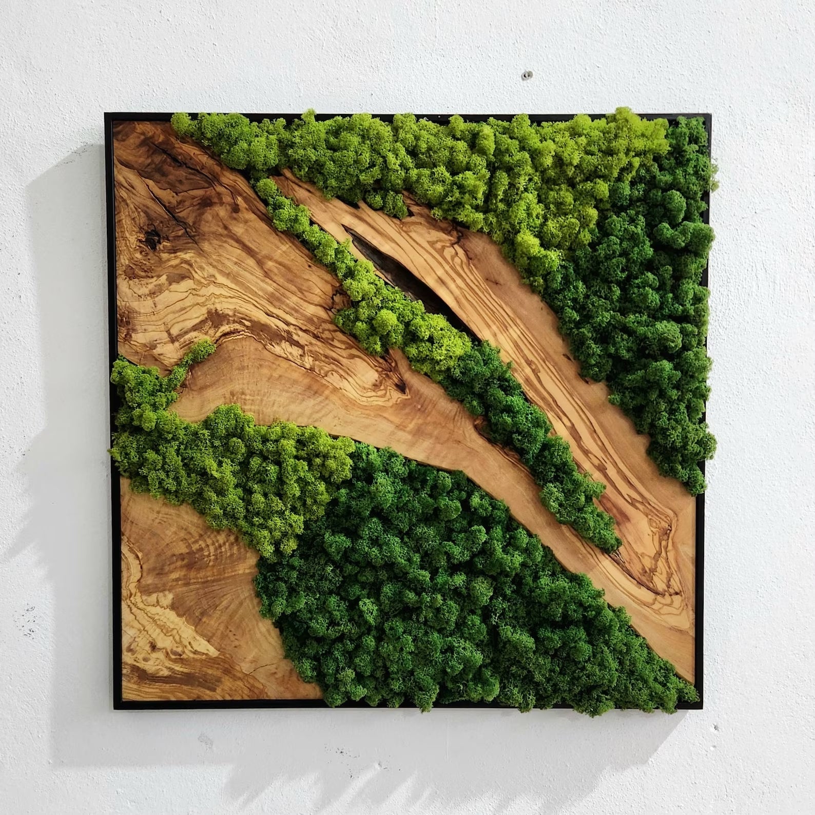 Custom Made Moss and Olive Wood Wall Art 2 Colors | Premium Handmade Wall Sculptures