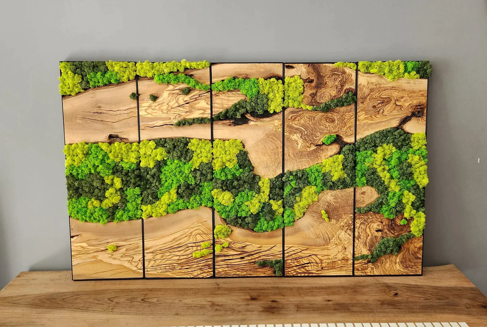 The Forgotten Forest' Moss Wall Art by Moss Art Installations –  MossArtInstallations