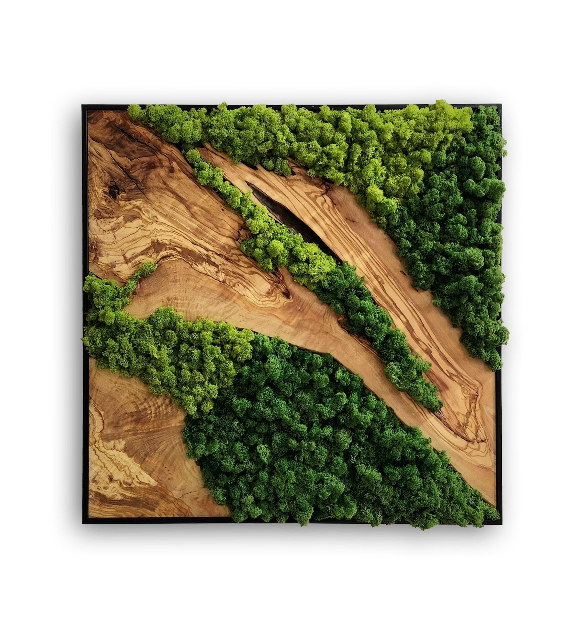 Custom Made Moss and Olive Wood Wall Art 2 Colors | Premium Handmade Wall Sculptures