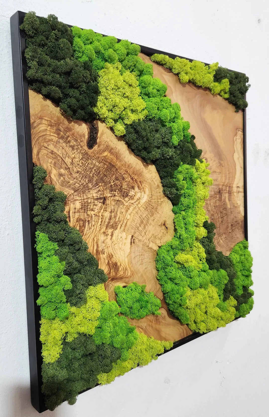 Custom Made Moss and Olive Wood Wall Art 3 Colors | Premium Handmade Wall Sculptures
