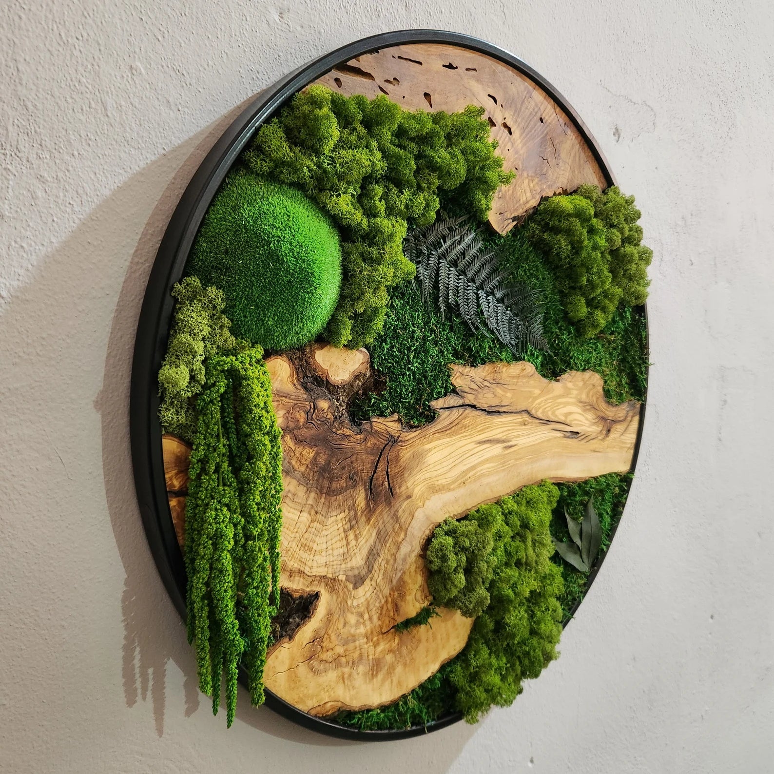 Organic Oasis | Premium Moss and Olive Wood Wall Decor