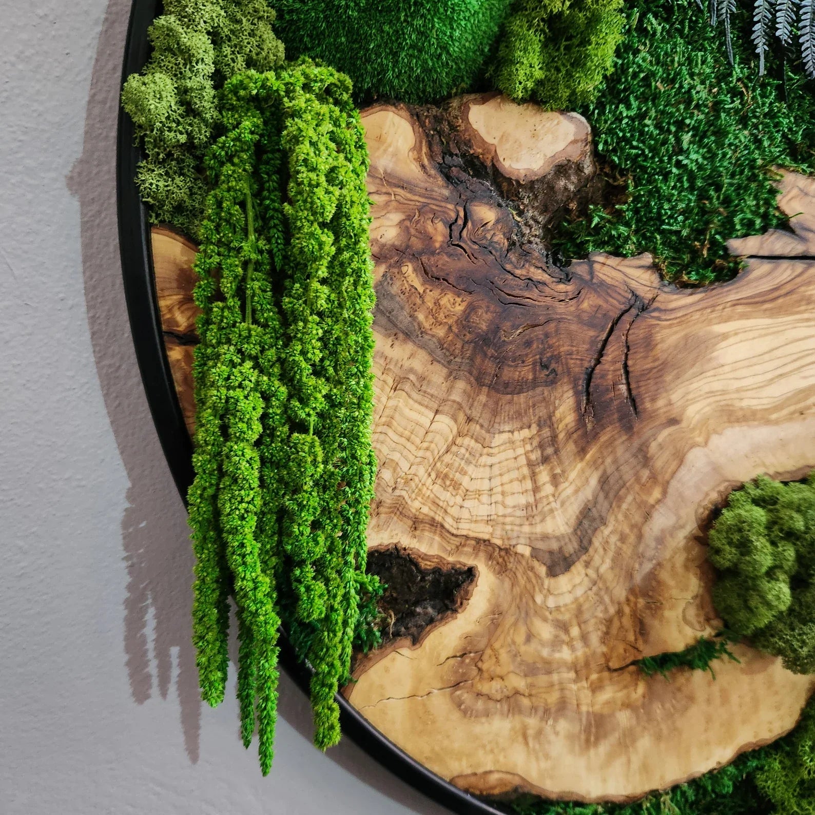 Organic Oasis | Premium Moss and Olive Wood Wall Decor