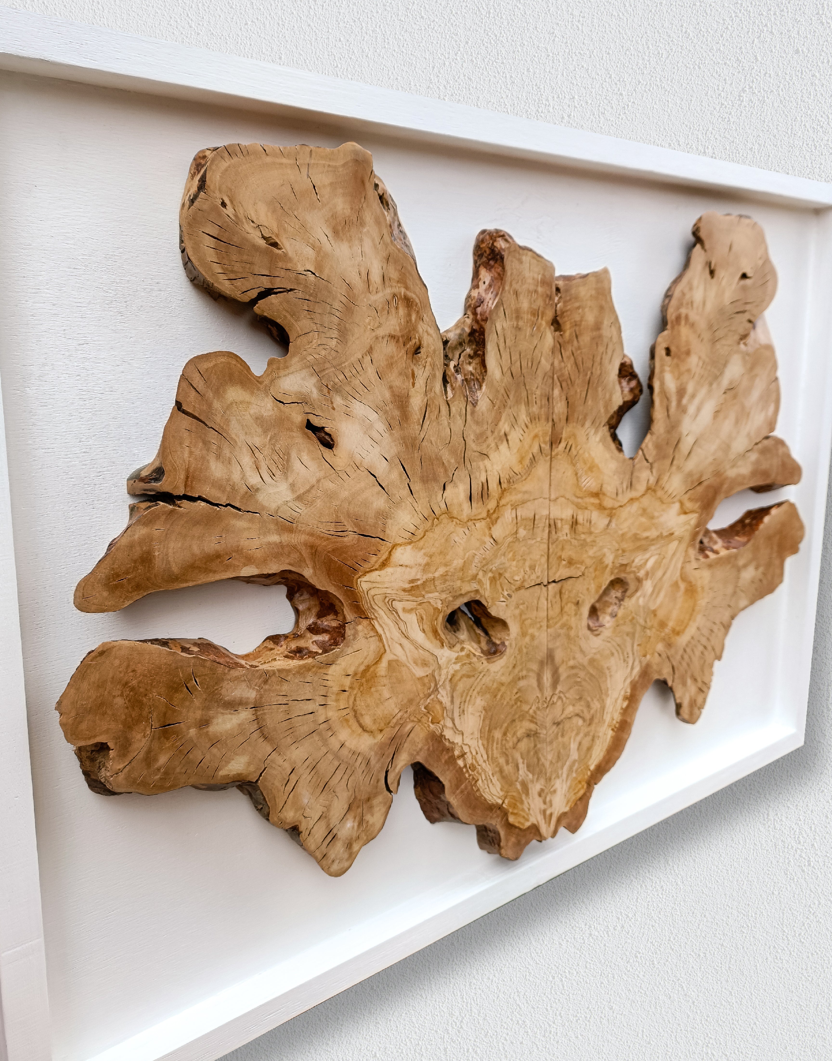・ "Unique Olive Tree Butterfly"・Premium Wood Wall Art- Special Edition