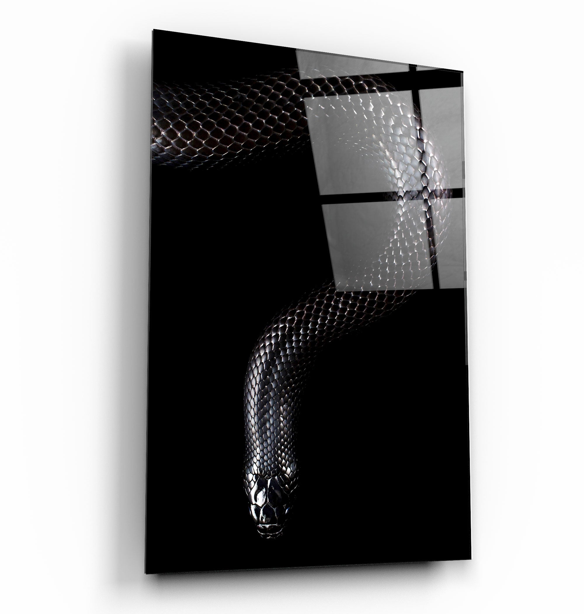 ・"The black Mamba"・Glass Wall Art