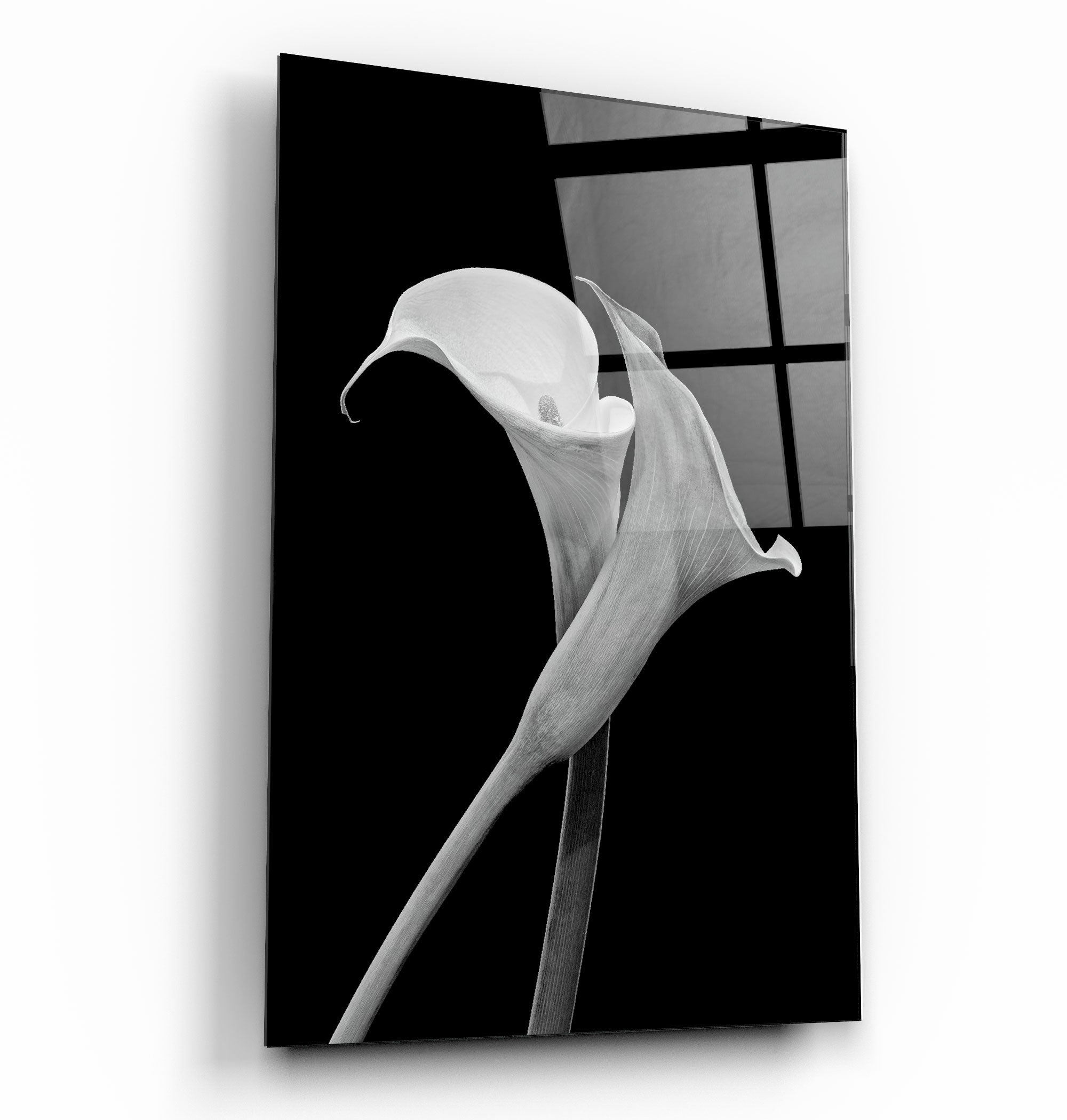 ・"Arum Lily"・Art mural en verre