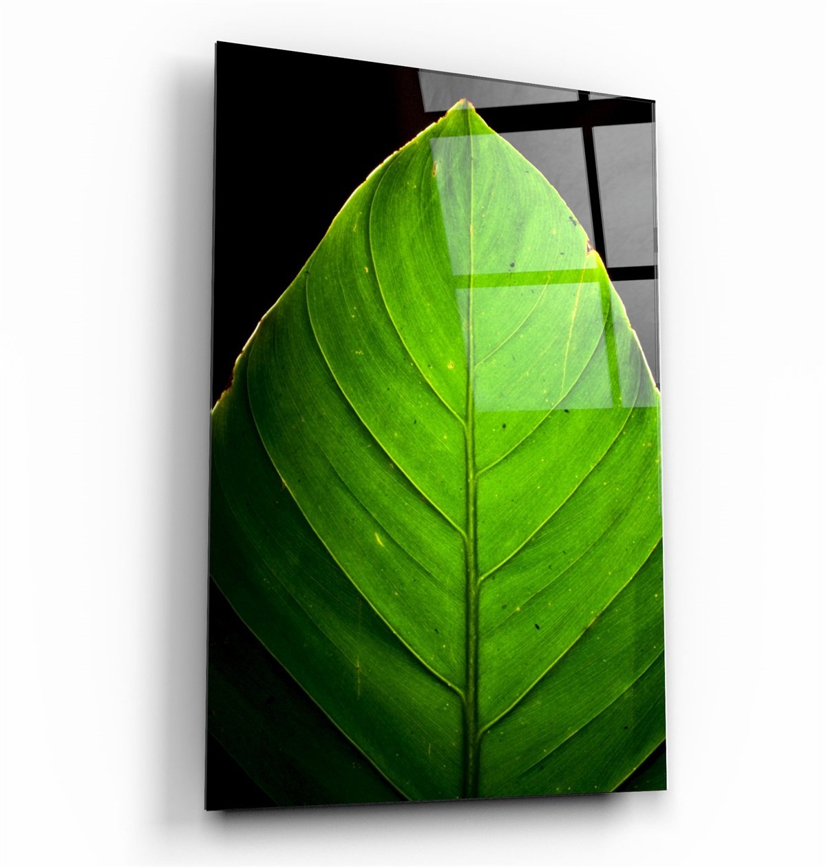 ・"Green Leaf 1"・Glass Wall Art