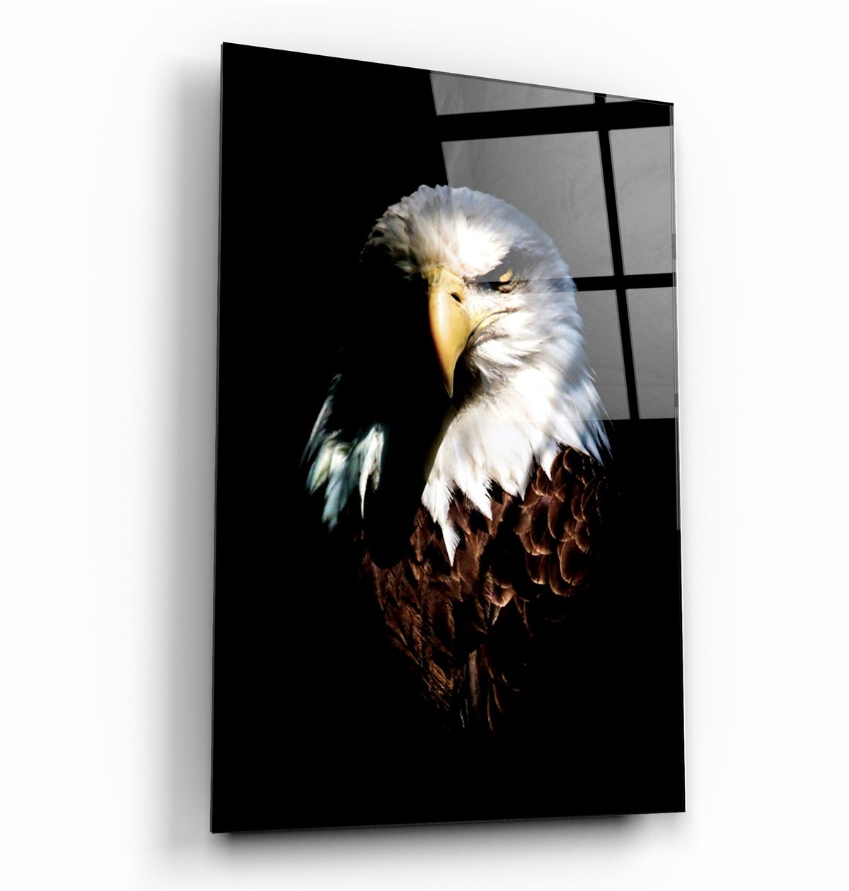 ・"Eagle"・Glass Wall Art