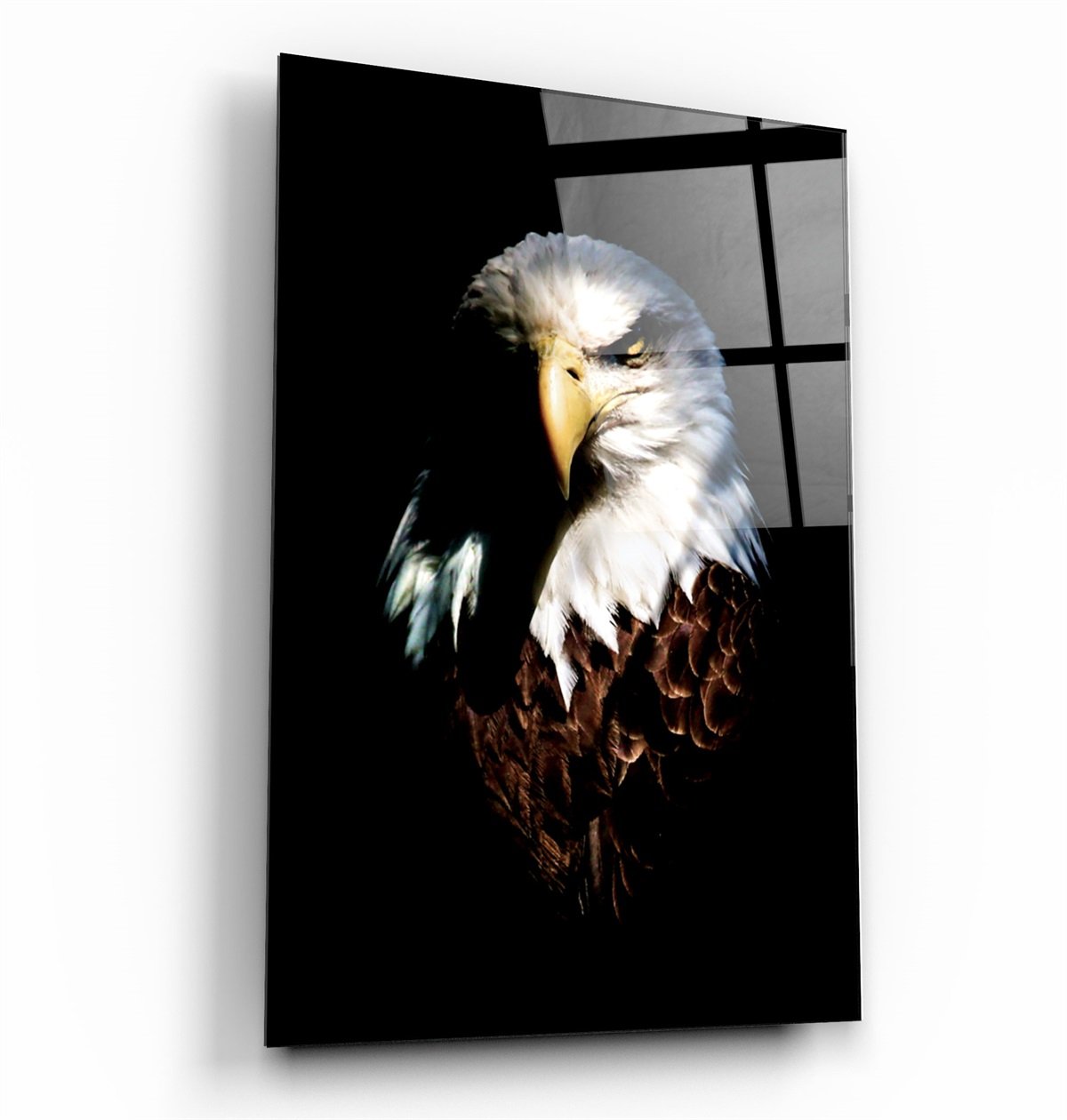 ・„Eagle“・<tc>Glasbild</tc>