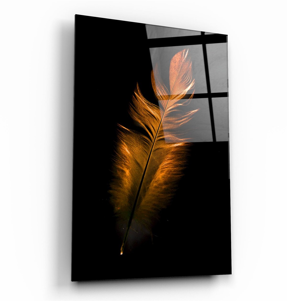 ・"Orange Feather"・Glass Wall Art
