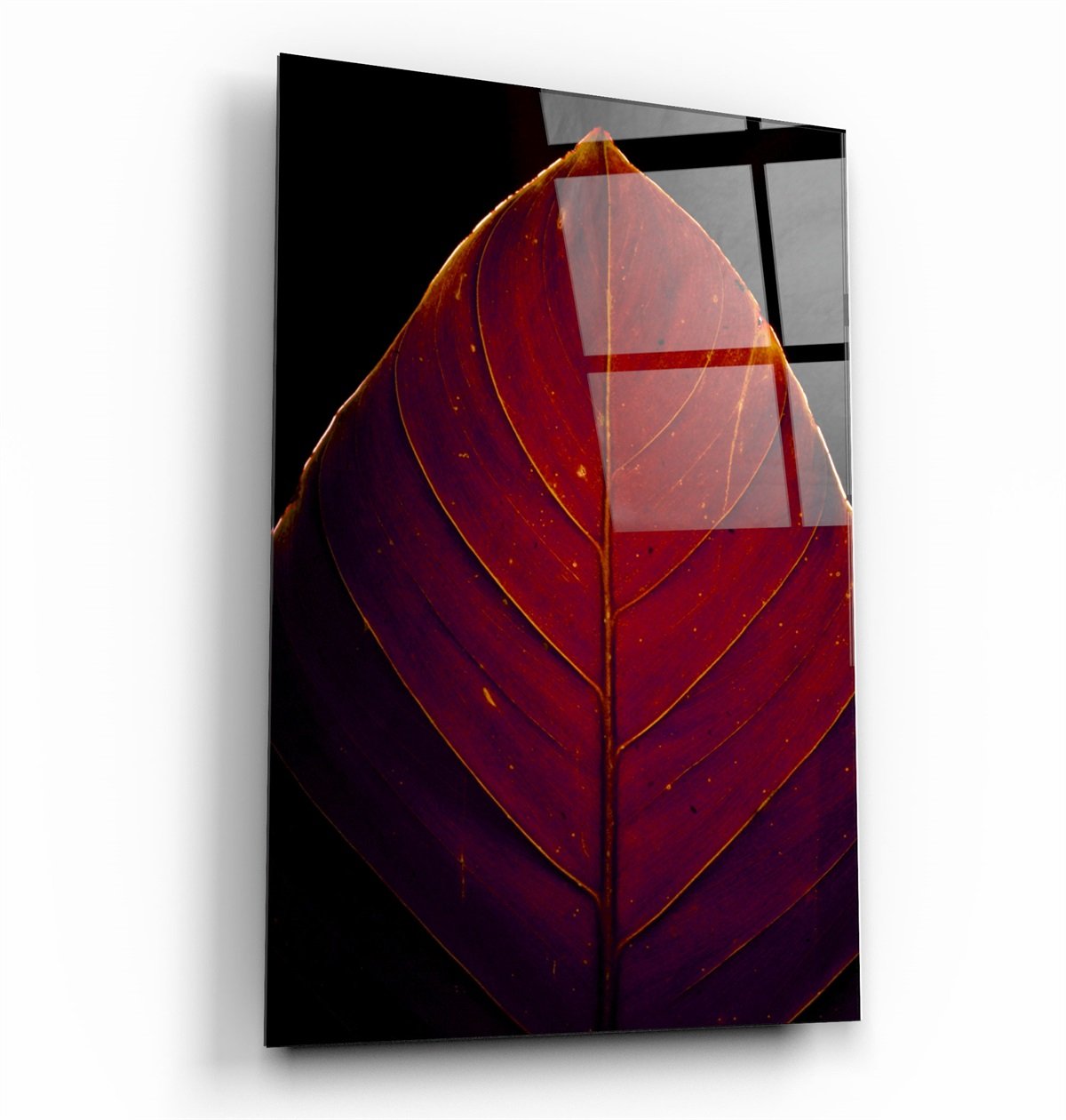 ・"Leaf v2"・Glass Wall Art