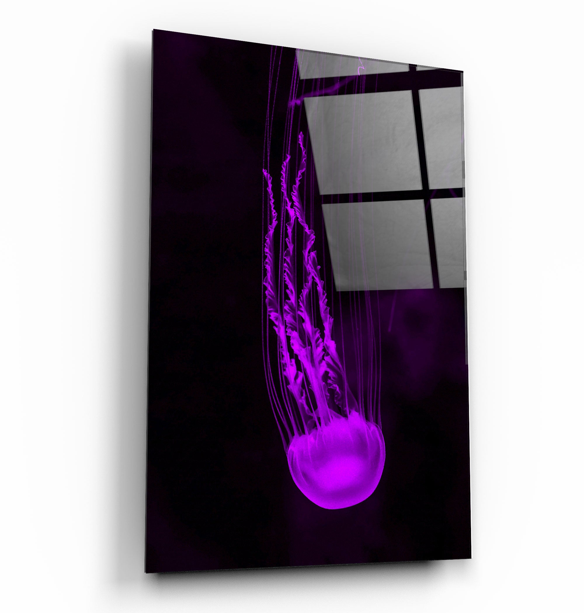 ・"Jellyfish"・Glass Wall Art