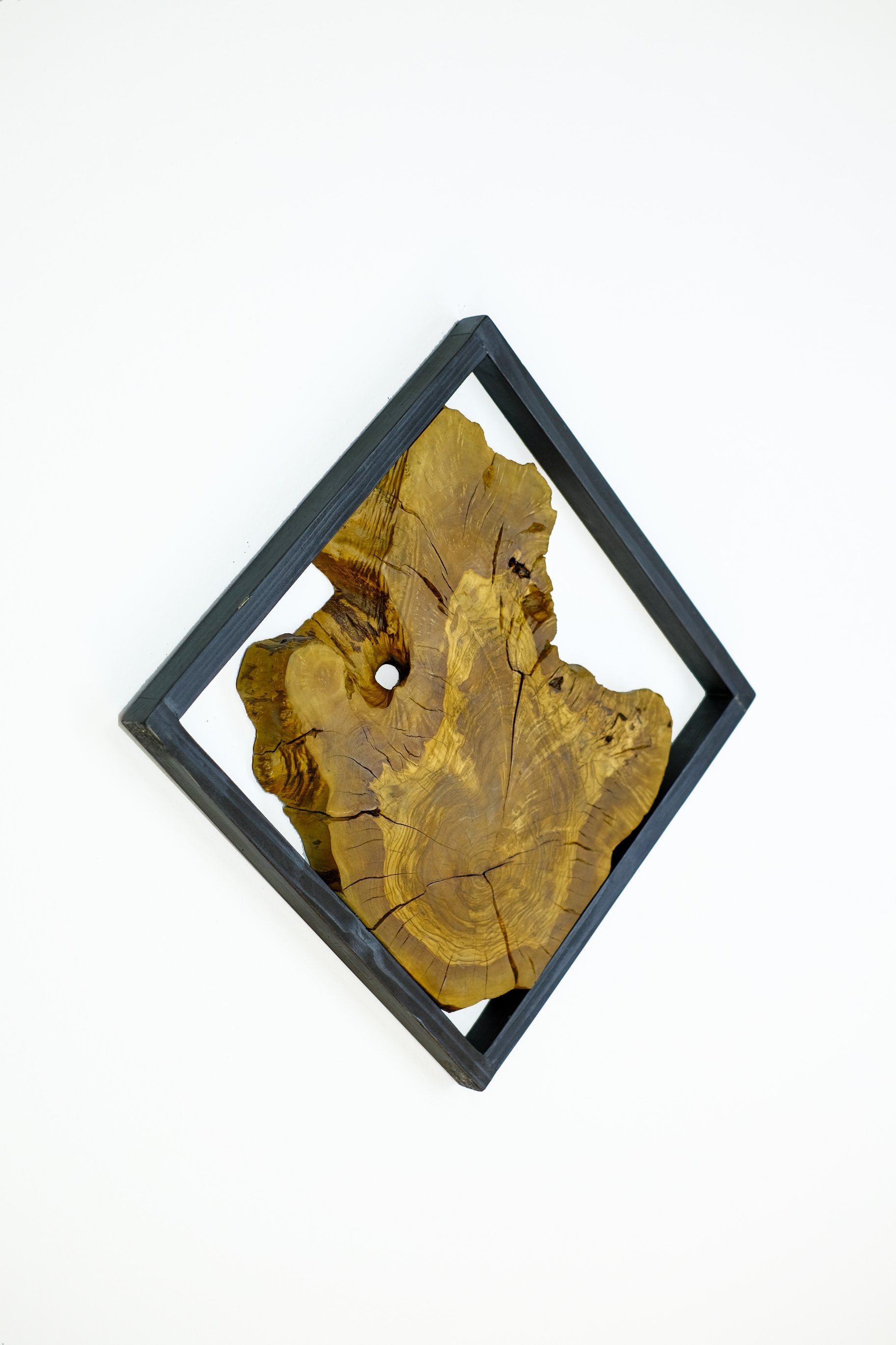 ・ "Olive Tree Slices"・Premium Wood Wall Art- Special Edition