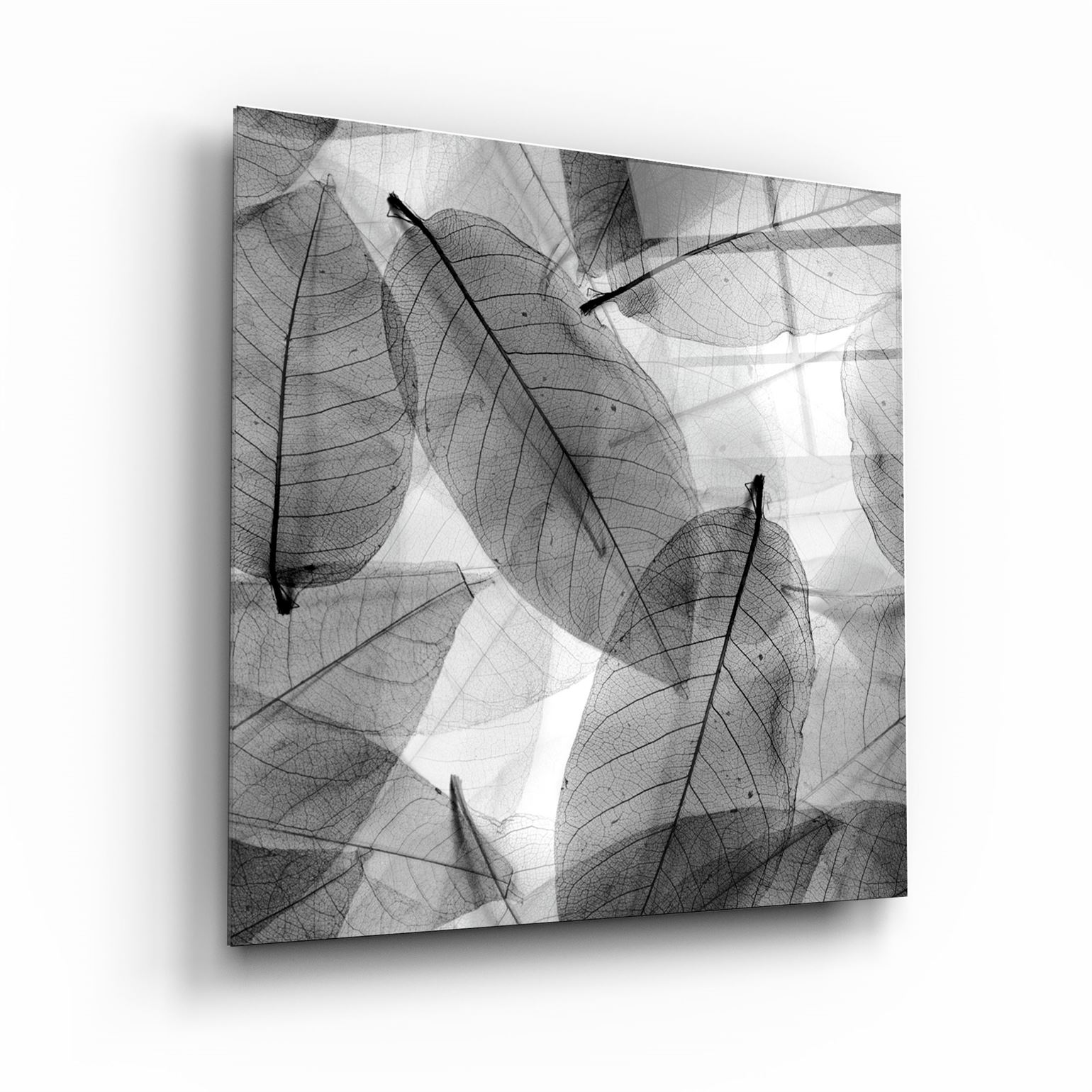 ・"Black and White Leaves"・Glass Wall Art