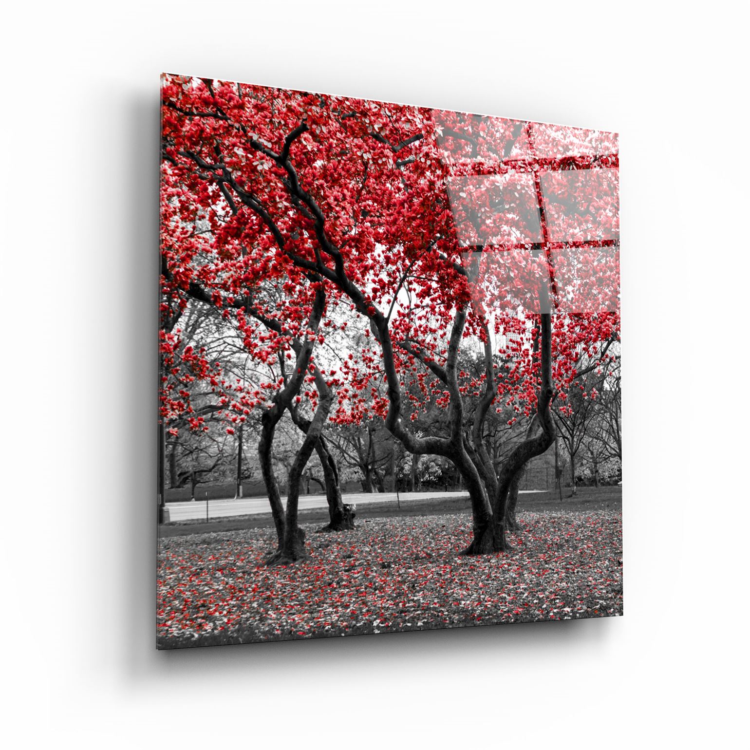 ・"Red Tree"・Glass Wall Art