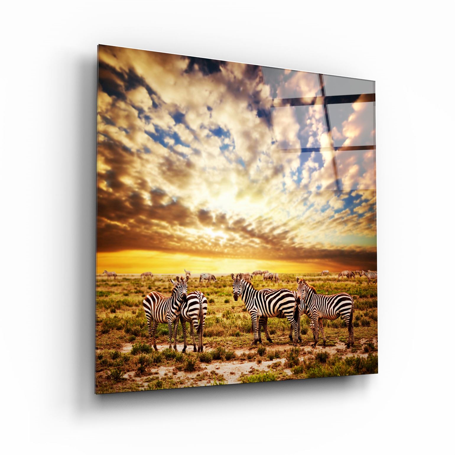 ・"Zebras"・Glass Wall Art