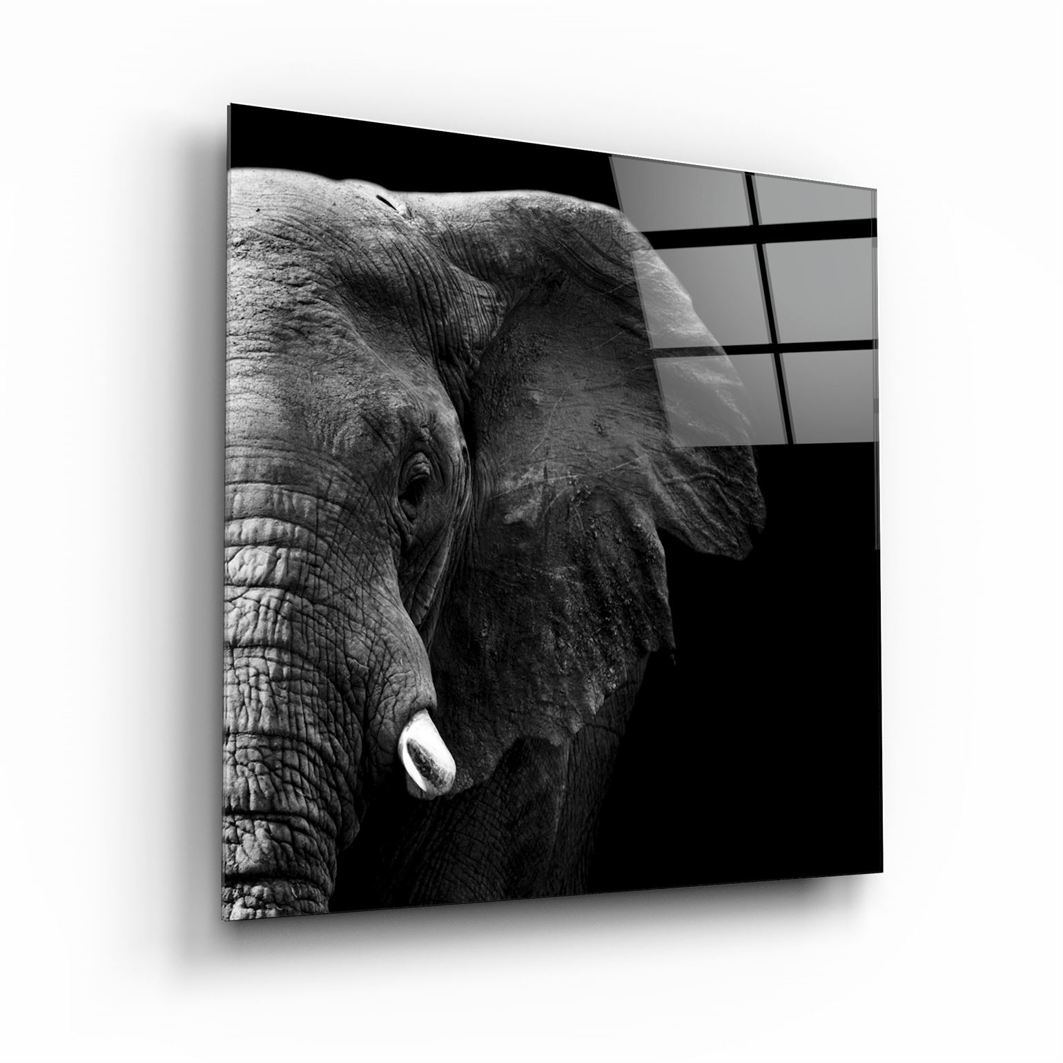 ・"Elephant"・Glass Wall Art