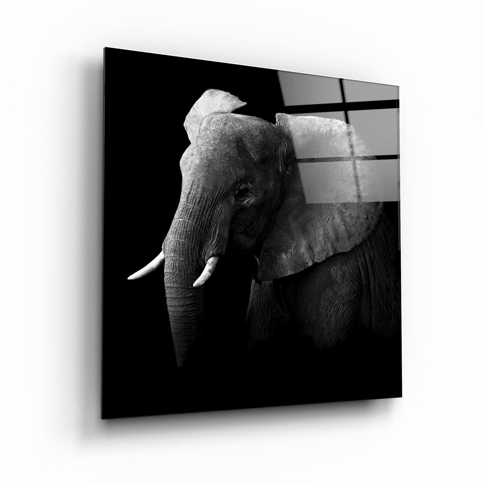 ・„Elefant“・<tc>Glasbild</tc>