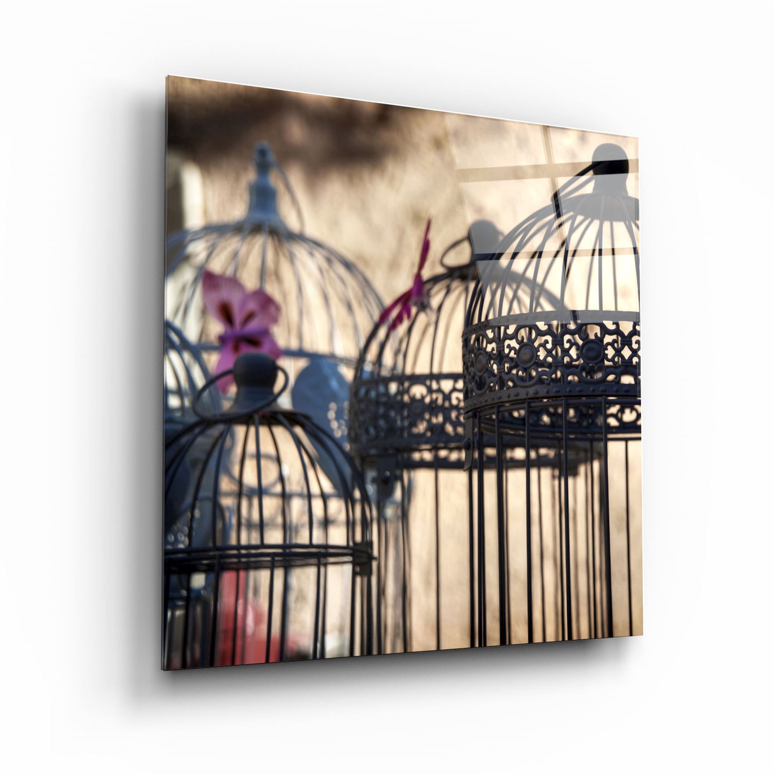 ・"Bird Cage"・Glass Wall Art