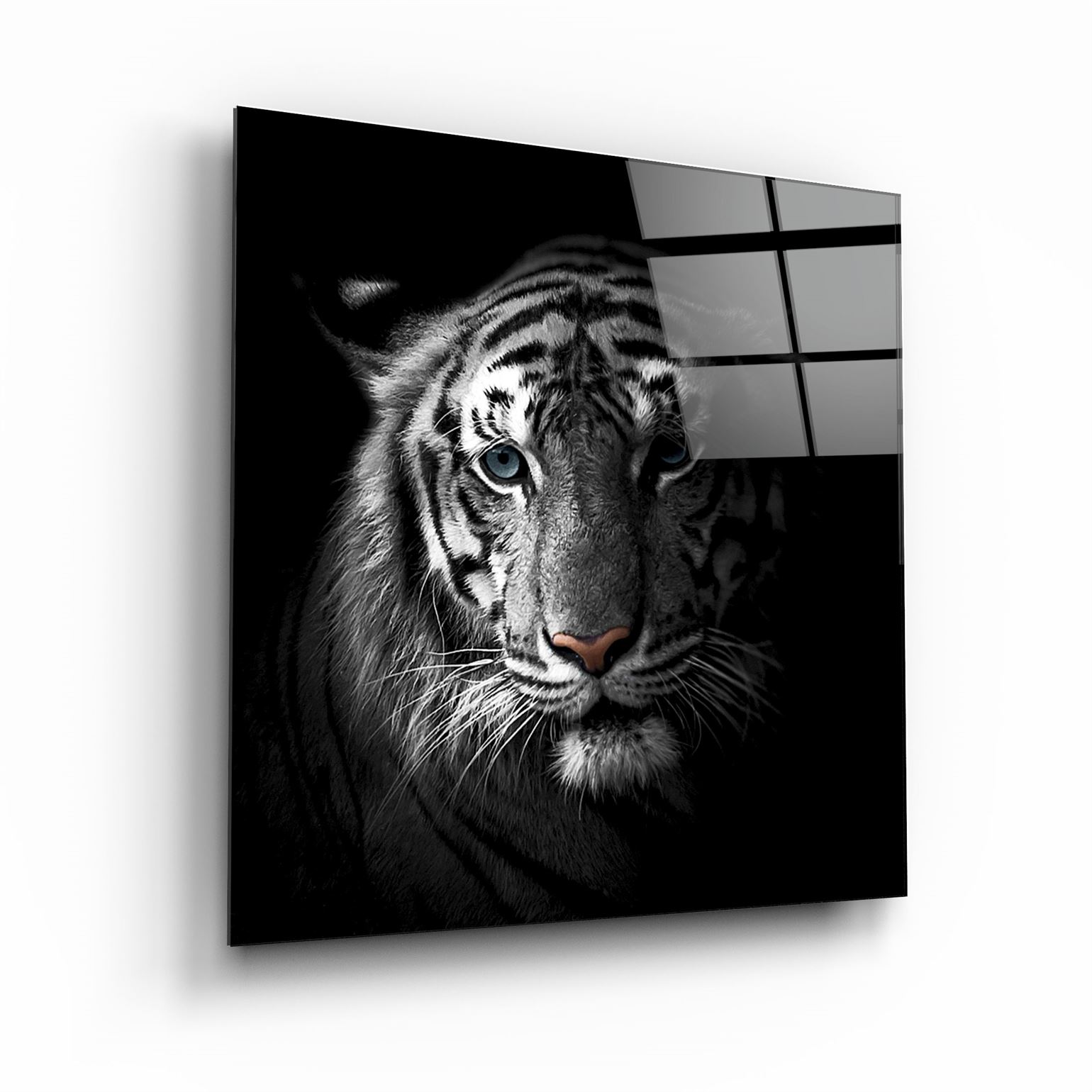 ・„Tiger“・<tc>Glasbild</tc>
