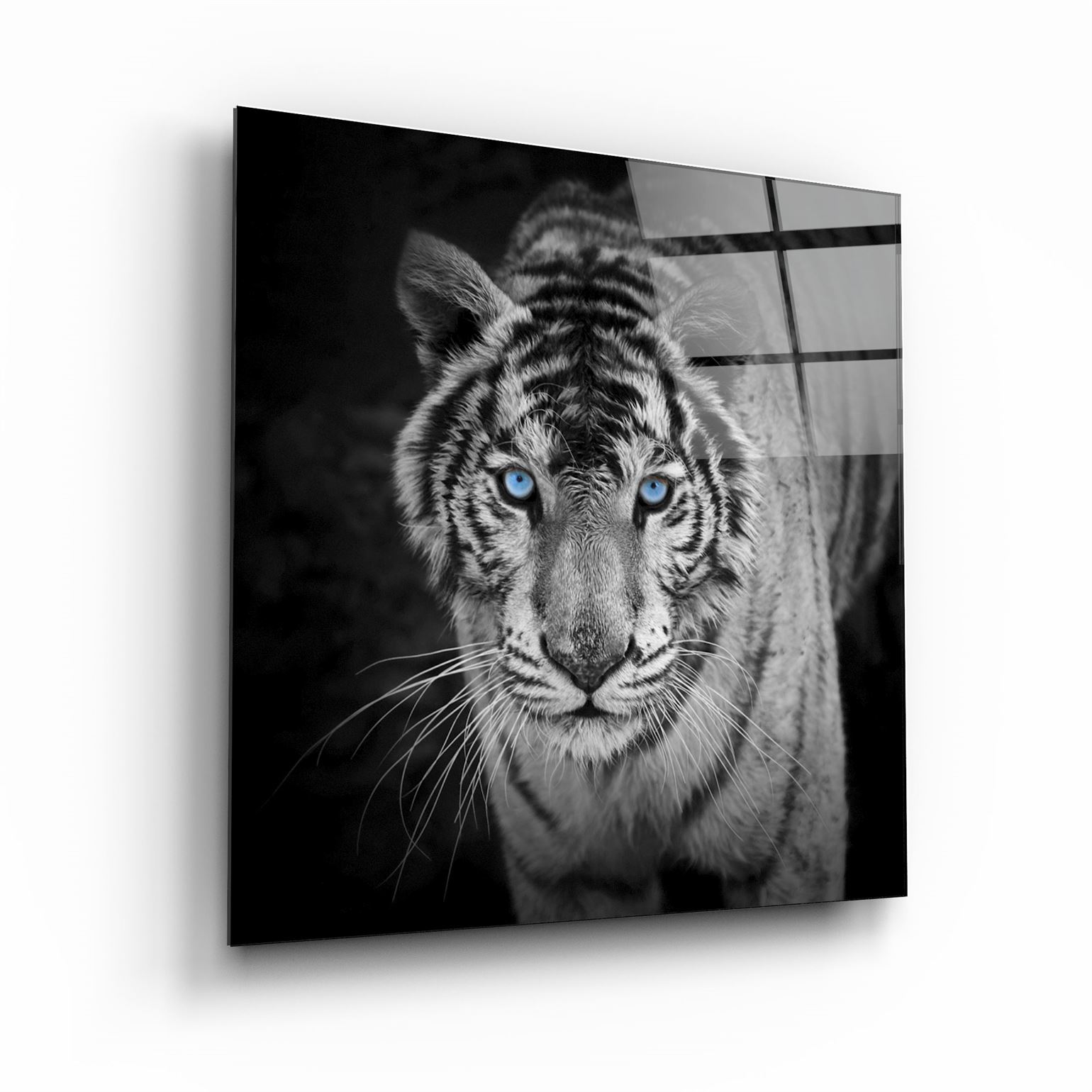 ・„Tiger“・<tc>Glasbild</tc>