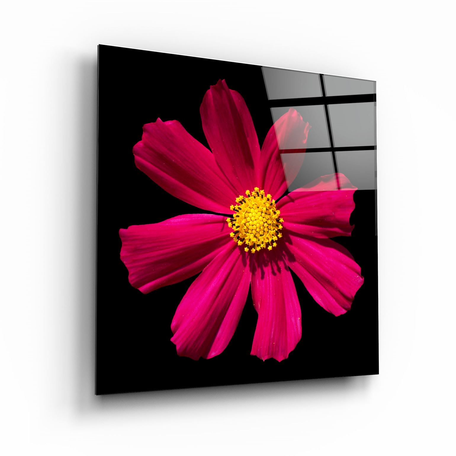 ・„Rote Blume“・<tc>Glasbild</tc>