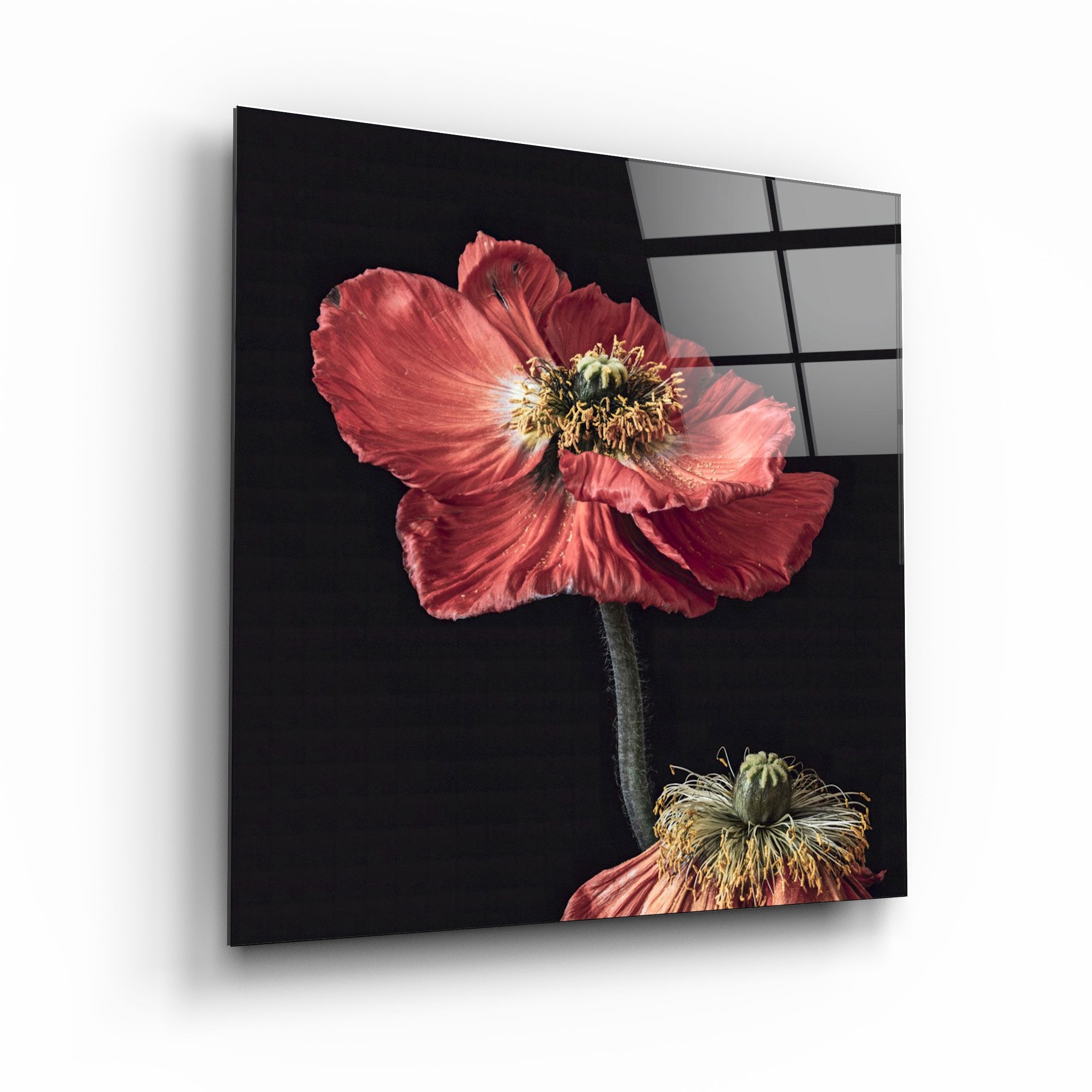 ・"Red Flowers"・Glass Wall Art