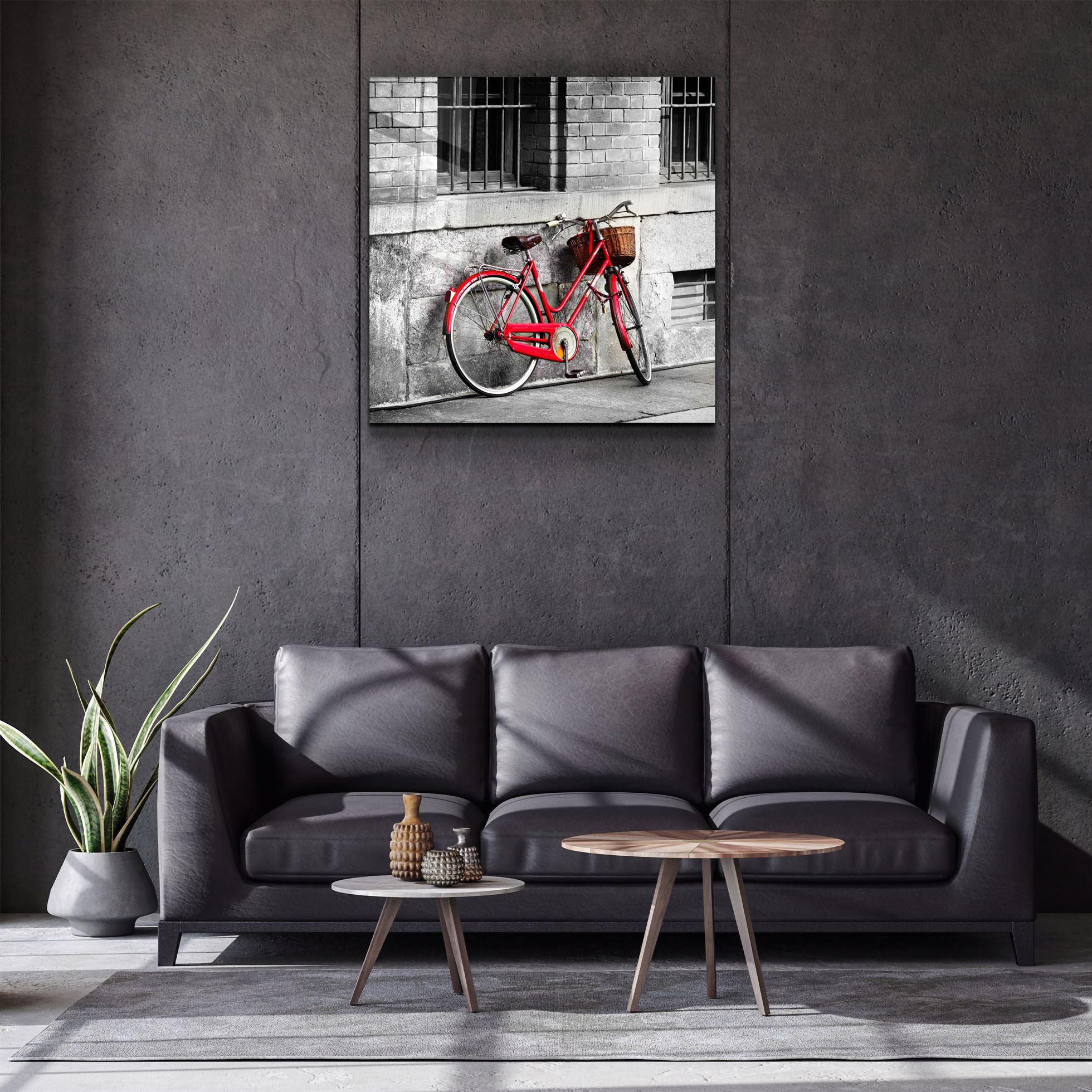 ・"Red Bicycle"・Glass Wall Art