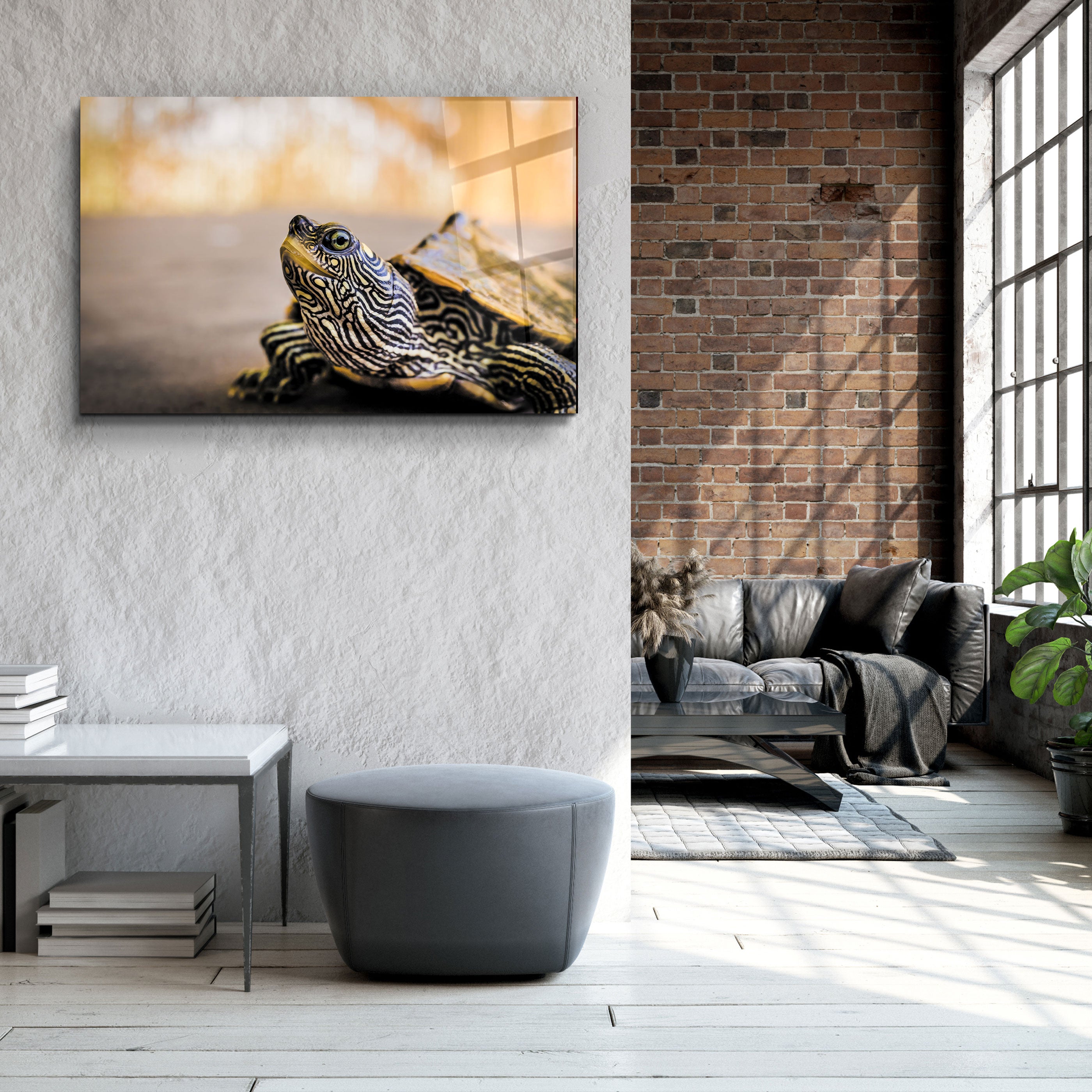 ・"Tortue rayée"・Art mural en verre