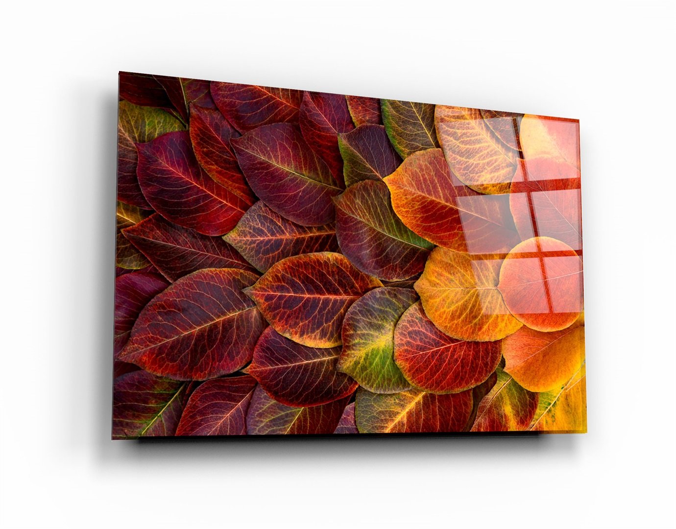 ・"Leaves"・Glass Wall Art