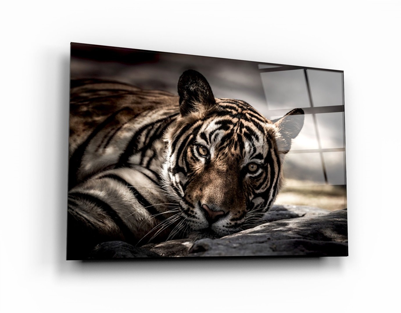 ・"Tigre fatigué"・Art mural en verre