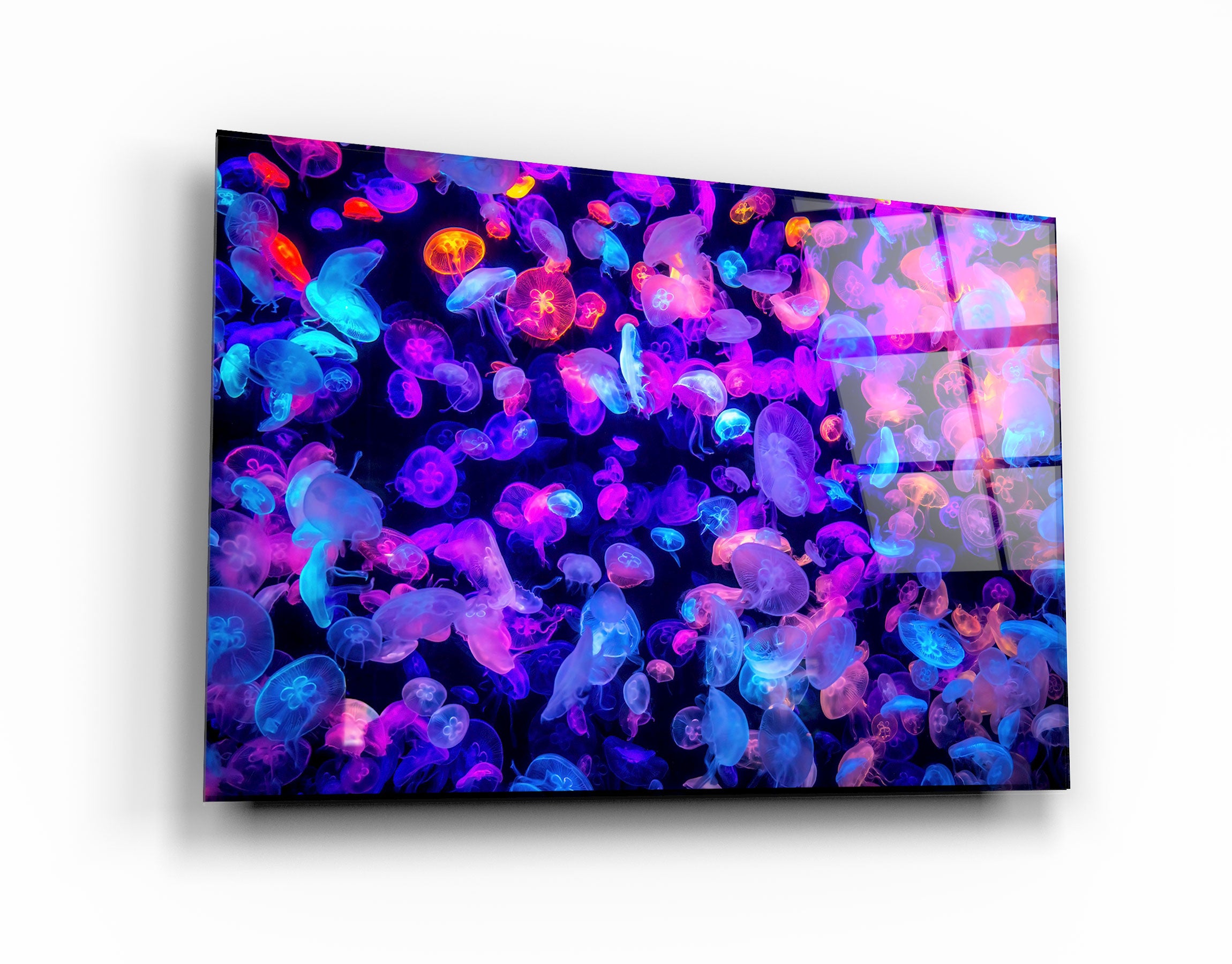 ・"The Colorful Jellyfishes"・Glass Wall Art