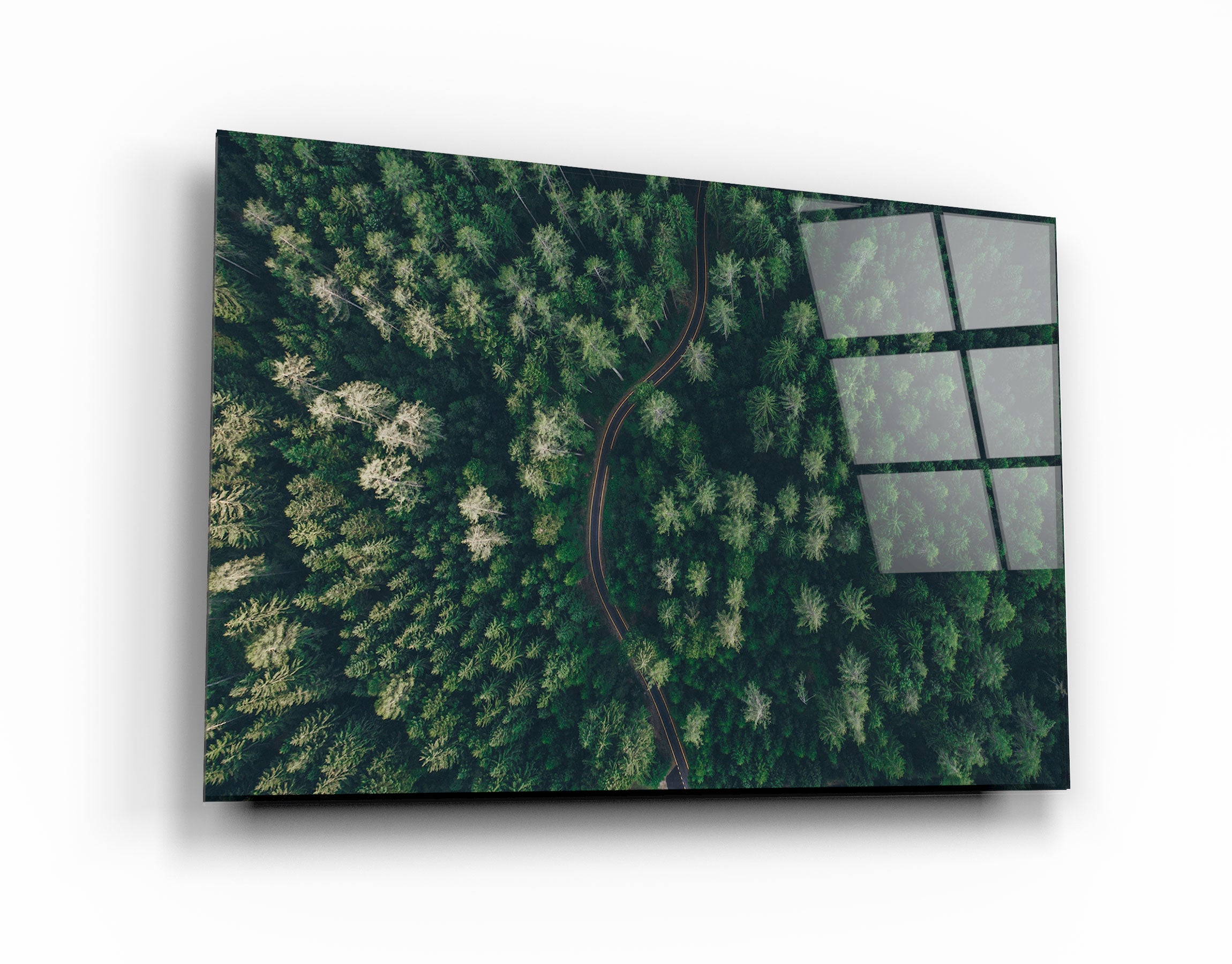 ・"Divided Forest"・Glass Wall Art