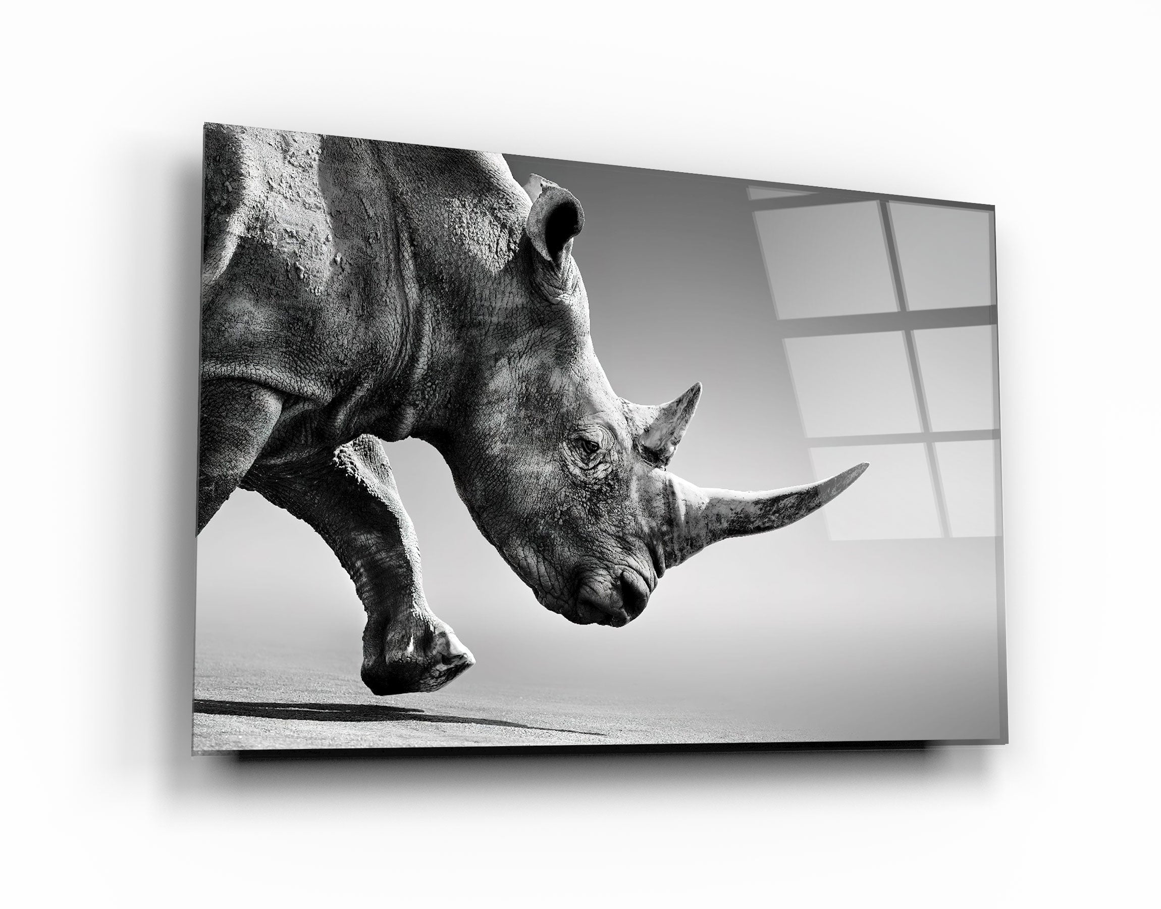 ・"Black Rhinoceros"・Glass Wall Art