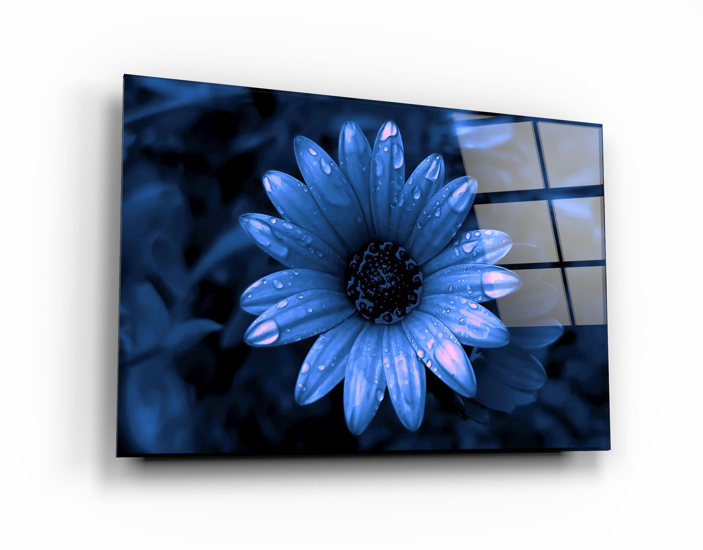 ・"Blue Daisy"・Glass Wall Art