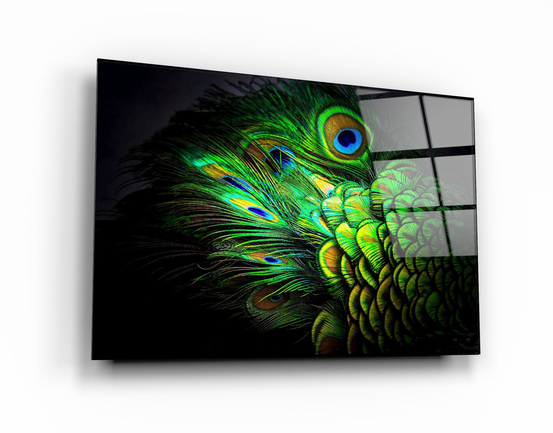 ・"Peacock Feather"・Glass Wall Art