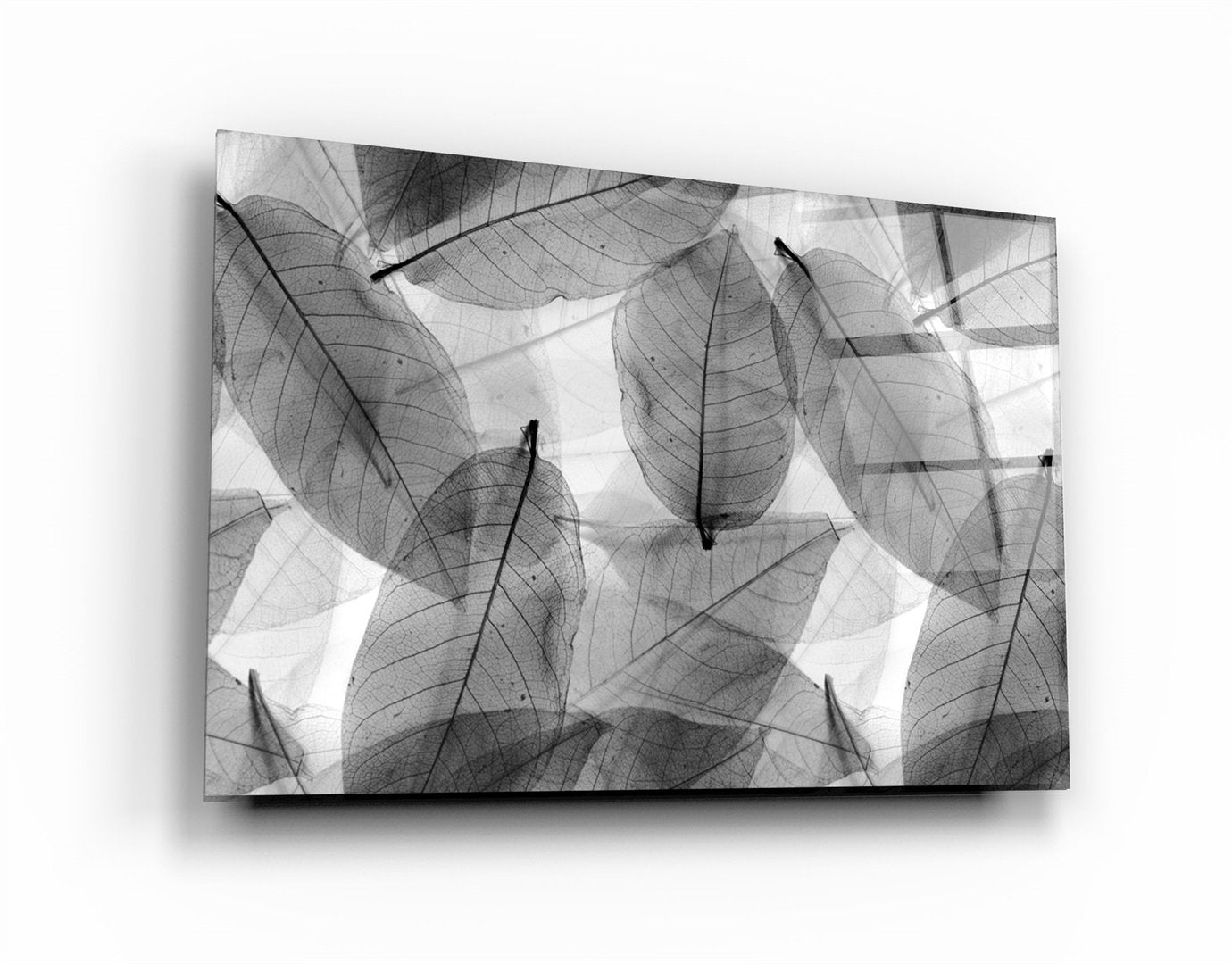 ・"Black - White Leaves"・Glass Wall Art