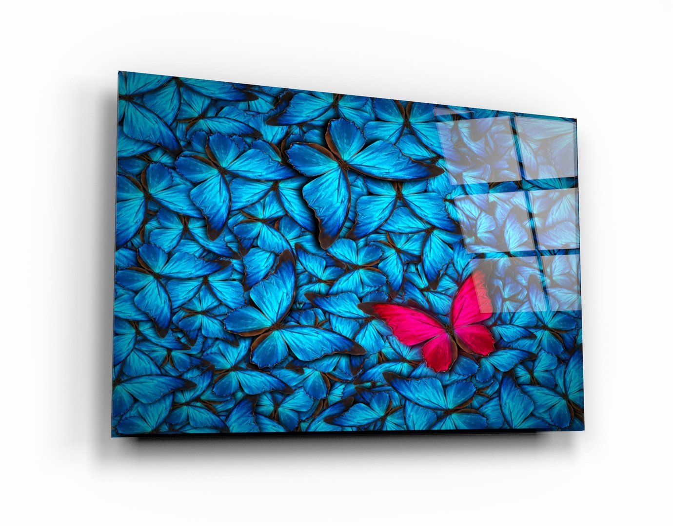 ・"Butterfly 1"・Glass Wall Art
