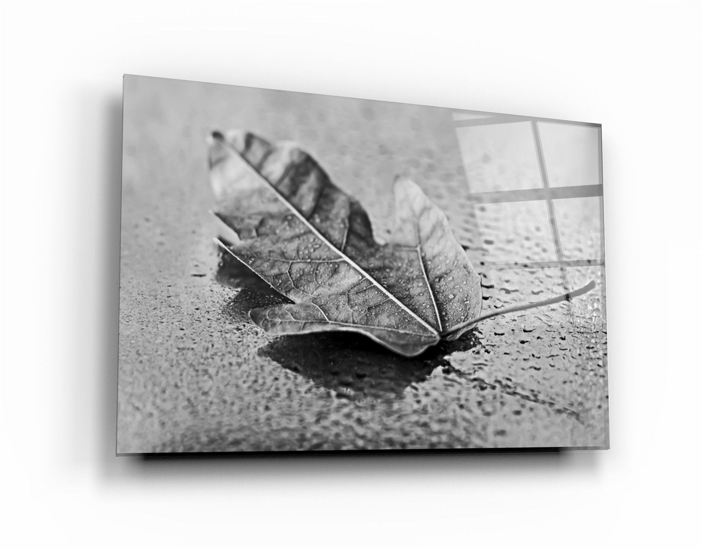 ・"The Leaf 1"・Glass Wall Art