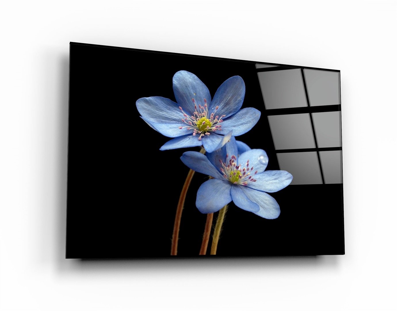 ・"Fleur bleue"・Art mural en verre