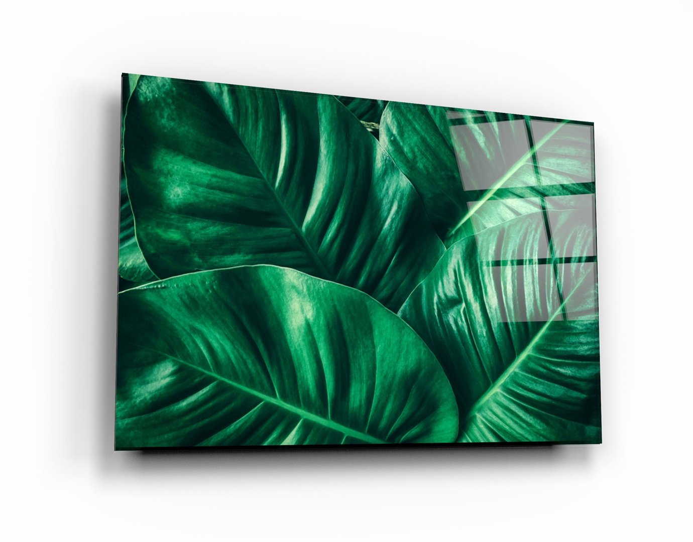 ・"Green Tropical Leaf"・Glass Wall Art