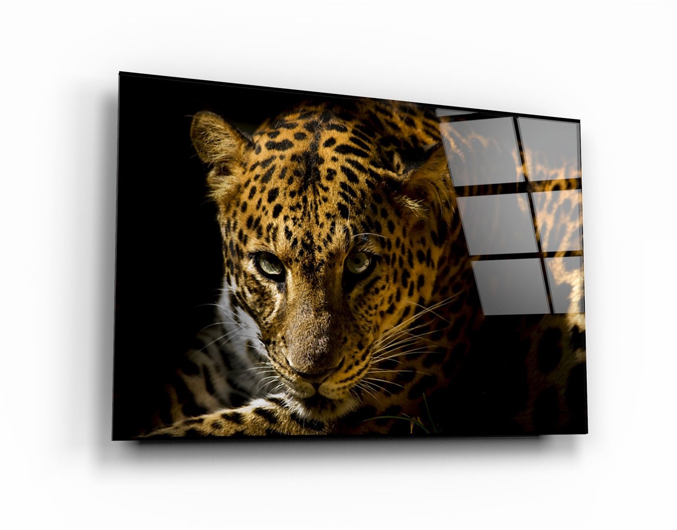 ・„Leopard“・<tc>Glasbild</tc>