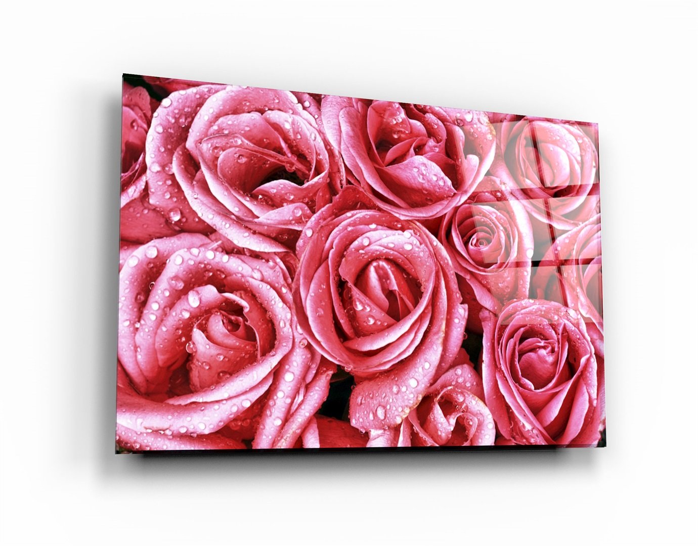 ・"Pink Rose"・Glass Wall Art