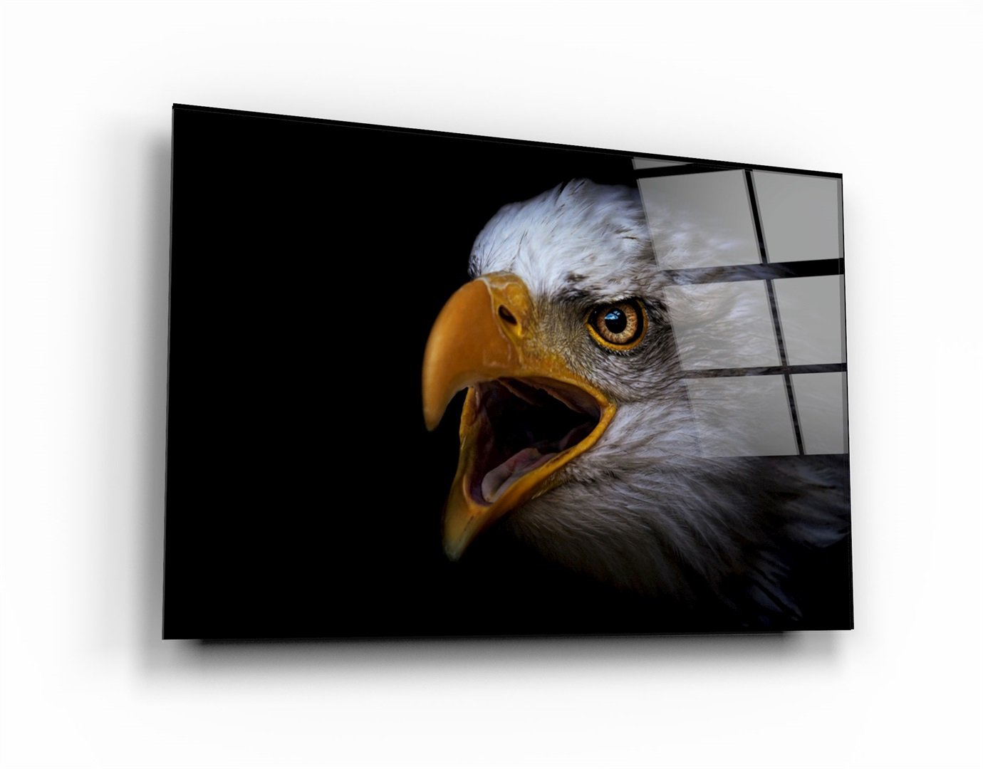 ・"Eagle Scream"・Glass Wall Art
