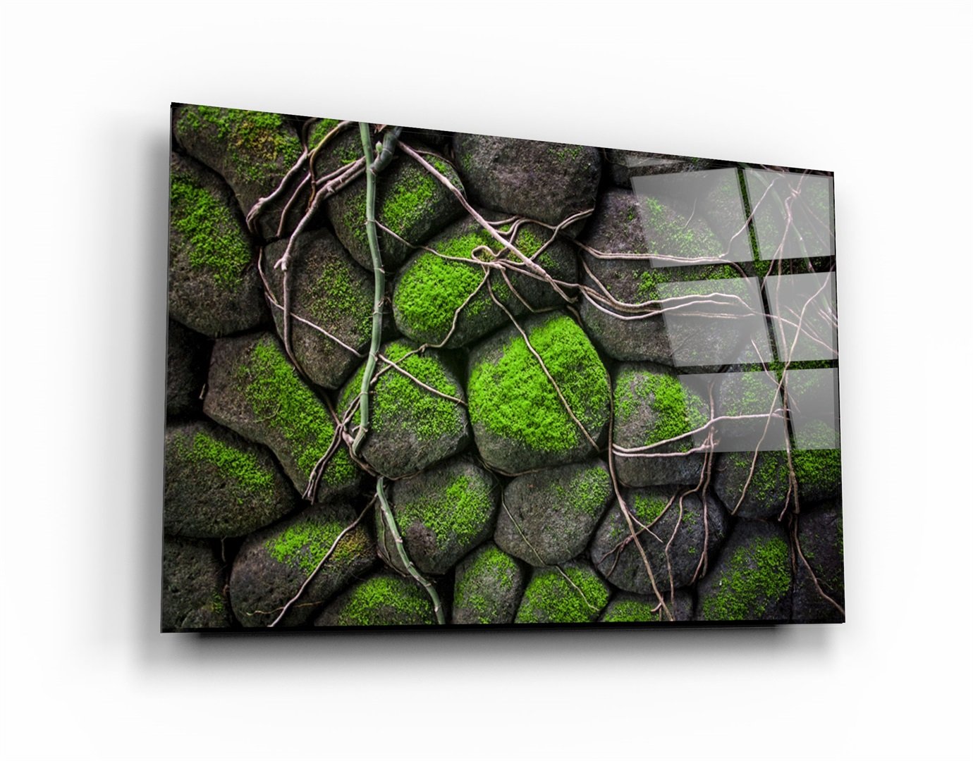 ・"Ivy"・Glass Wall Art