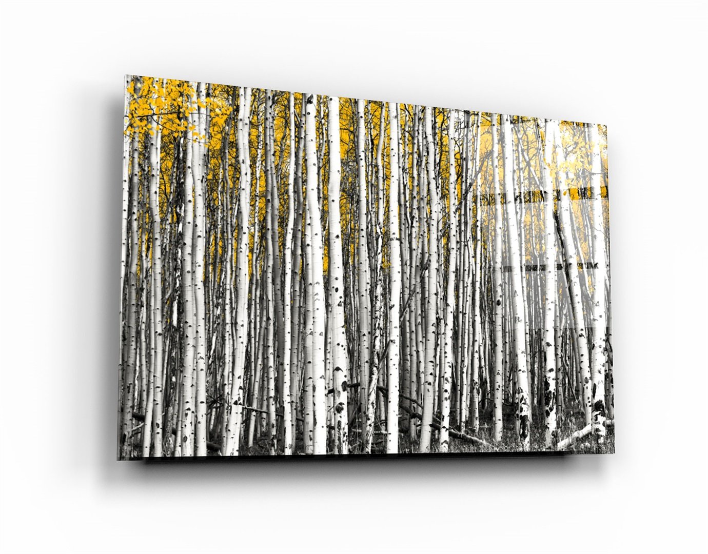 ・„Abstrakte weiße Bäume“・<tc>Glasbild</tc>