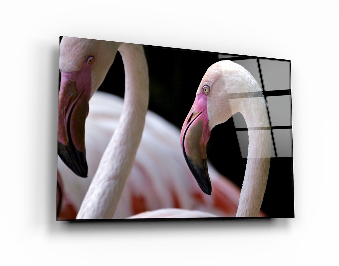 ・"Flamingo V4"・Glass Wall Art