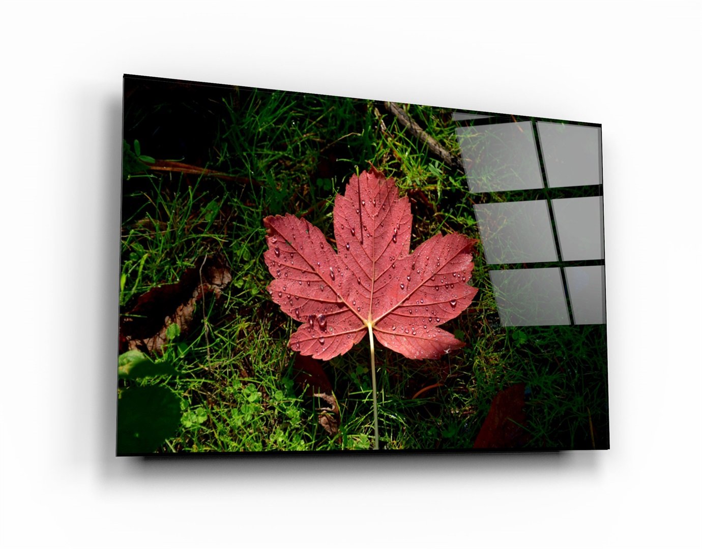 ・"Plane Leaf"・Glass Wall Art