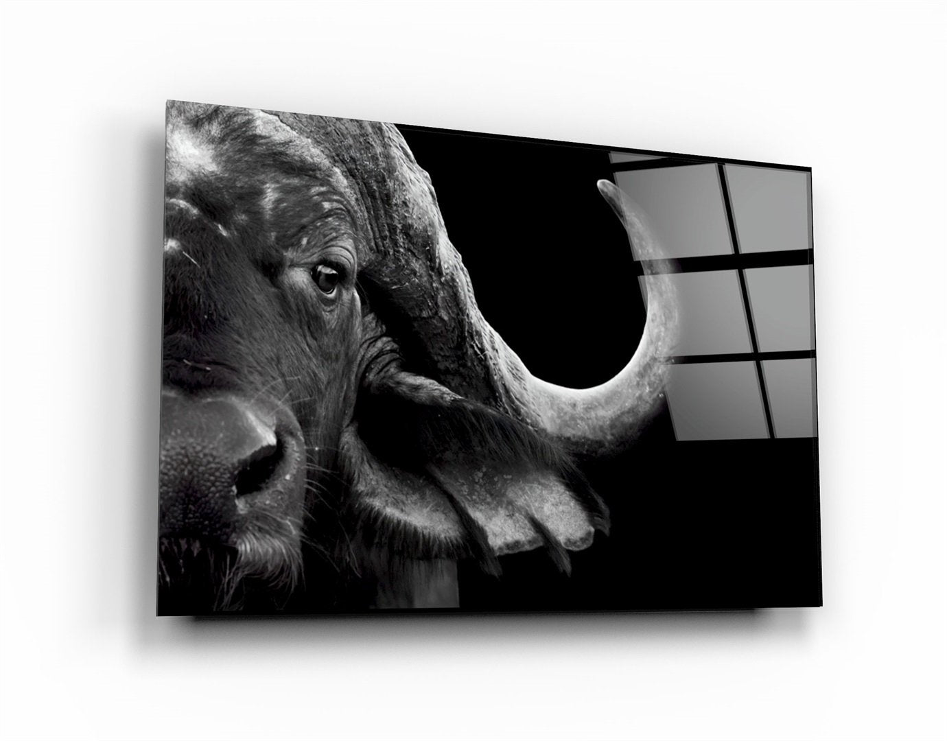 ・"Buffalo"・Glass Wall Art