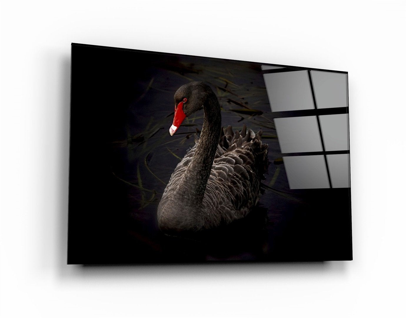 ・"Black Goose"・Glass Wall Art